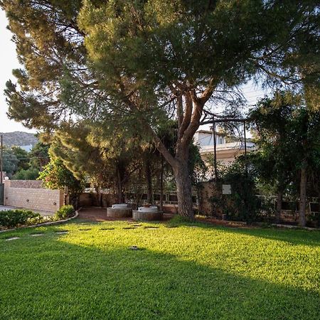 Sounio Panoramic Loft Apartment Соунио Екстериор снимка